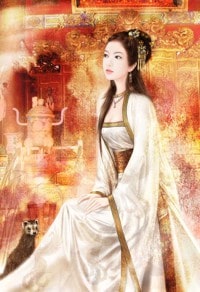 我的24k氪金神眼