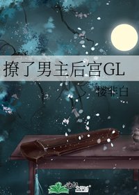 撩了男主後宮GL